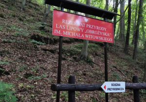 Krynica Zdrój