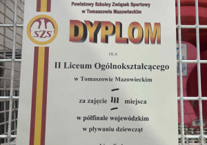 Sukcesy w ramach Licealiady